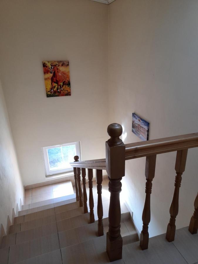 Yana Guest House Dobrinishte Esterno foto