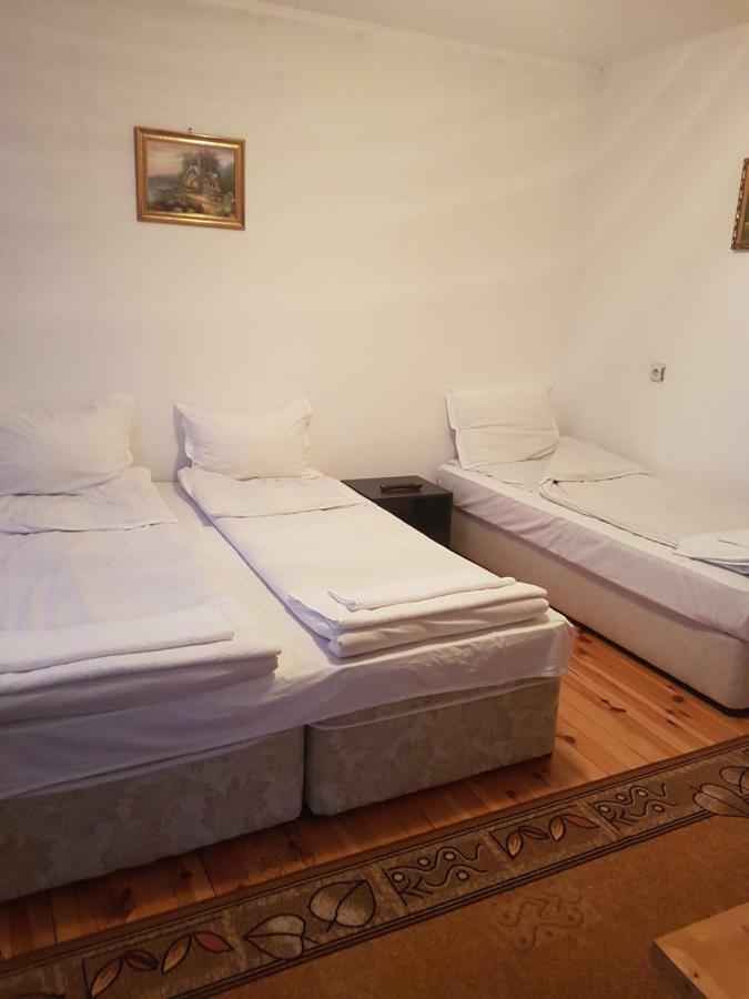 Yana Guest House Dobrinishte Esterno foto